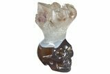 Polished Agate Skull with Amethyst Crown #181951-1